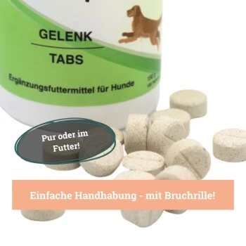 BeG Buddy Gelenk Fit Tabletten 5 BeG Buddy Gelenk Fit Tabletten – Bild 5