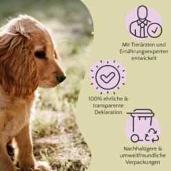 FAVLY Petfood PURE Bites Lamm 360 G 11 FAVLY Petfood PURE Bites Lamm 360 G -Hundebedarf Geschäft 5d7b6f7ff0cad3d69d8328aff31a8cc220780e0f 1474004 de DE cfc8e2f3174986d5e2d5f456c501da9d9b200fe9C0H0tH