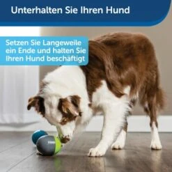 PetSafe Elektronisches Hundespielzeug Ricochet -Hundebedarf Geschäft 5eadda9b8e1c472d17e8160a968897c5f1589a26 1418724 de DE f0080b3bce77c44349e2b70b9453ceaf44e2d3d6nqnVTG