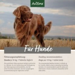 Aniforte Plus Fell & Haut 90 Tabletten 11 Aniforte Plus Fell & Haut 90 Tabletten -Hundebedarf Geschäft 5fb4f1e870fde2a4e5f4b6f90e36ec6f0dd88550 1455931 de DE d0081f69574a0ff060fac7b221f563bb6f170e56pY8I6o