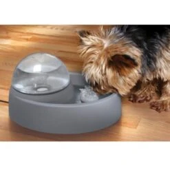 Numaxes Eyenimal Trinkbrunnen 1,5l -Hundebedarf Geschäft 612512ae3e55fd25731acfc2a0abcdc5bfeba8fb b7754bc2b320ccef10b70045a810474d6996a8cb