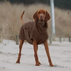 THE DOG IDEA Bademantel Every Braun XXXS 9 THE DOG IDEA Bademantel Every Braun XXXS -Hundebedarf Geschäft 62c517832f7f923b83b0a0ee681a77b2e33cc3c3 1473036 de DE 2393ef51979dd0191b0261c826741cb7543b7b3brAaZfV