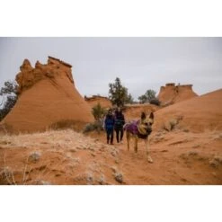 Ruffwear Overcoat Fuse™ Hundejacke Violett XXS 21 Ruffwear Overcoat Fuse™ Hundejacke Violett XXS -Hundebedarf Geschäft 63f0f6c2ce316cb05ad8327a81fc0693c061f7c9 1639761 de DE c1f94f51e318dc9402504b3760a5b7d8c990fb78cnSRrn