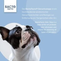 ChronoBalance BactoFacto Probiotischer Geruchsstopp Pads Für 2 Liter 20 Ml 9 ChronoBalance BactoFacto Probiotischer Geruchsstopp Pads Für 2 Liter 20 Ml -Hundebedarf Geschäft 6515b6e6800e68909a0a5f7e0f816613e8c36542 1397549 de DE 9a466fcf5c88e78df191b07c6d764f4746df49dcxtsIbT