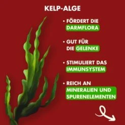 Irish Pure - Rind, Huhn + Gemüse & Kelp 1,5 Kg -Hundebedarf Geschäft 6614a262a5338c400049d067ca043e5726b4882d 1274248 de DE c743aaaf5de4844ec31cc2b80926e5beb042a8ccwoyMTt