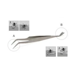 Lills Zeckenzange Aus Edelstahl 7 Lills Zeckenzange Aus Edelstahl -Hundebedarf Geschäft 666f3a3fb181b232ac8339dfb19af759aa845978 1488086 de DE f0e508c7b7855d95e1b35fa6dabdb0d0ba4555f76ECWsn