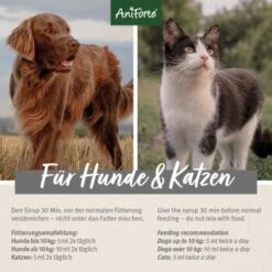 Aniforte Ulmenrinde 100 G -Hundebedarf Geschäft 6844553751b5b8e03a1bb129a8a2591ba4eb2f73 1332939 de DE de3a0d43a9558905dce3688643de1dd30a234084IPDVe7