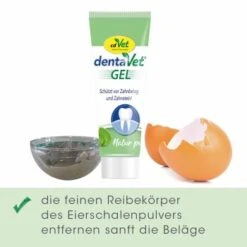 DentaVet Gel 35g -Hundebedarf Geschäft 6850865498310ebb85547f1ef67ab83daaa6b250 1249039 de DE 3d8da4ca500c5da012ca3e2baf0e39e1911d82034zOvy3