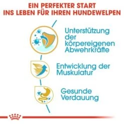 ROYAL CANIN Boxer Puppy 12 Kg -Hundebedarf Geschäft 688da358c7c13e34db44e38709f501f61e164dee b934048524a4df1f17cf77c3abbb472833d5297e