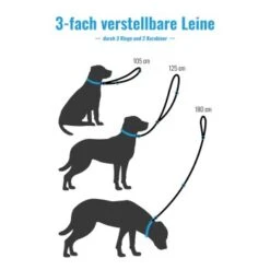 Freudentier Runde Hundeleine Aus Nylon -Hundebedarf Geschäft 692dbbac1083ee66fa475f5bad6319cdc75fd2a1 1427873 de DE 442785339bf092d77cad564efe923e074b38a679cP6nA6