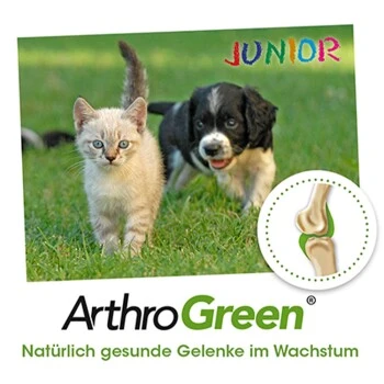 ArthroGreen Junior 25 G 3 ArthroGreen Junior 25 G – Bild 3