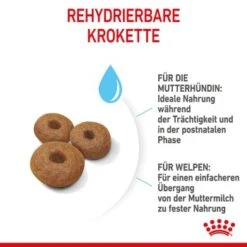 ROYAL CANIN MAXI Starter 15kg -Hundebedarf Geschäft 6b3d4eca89fc38af516846f4b626b5bde7538980 1044296 de DE royalcaninwb4