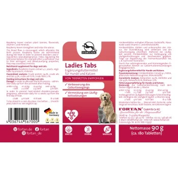 Fortan Ladies Tabs Mit Himbeerblätter-Extrakt 90 G 2 Fortan Ladies Tabs Mit Himbeerblätter-Extrakt 90 G – Bild 2