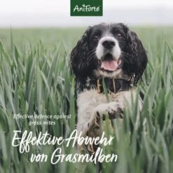 Aniforte Grasmilben-EX Spray Für Hunde 250ml -Hundebedarf Geschäft 6e1e18b7b0a1d1f59bce3c680af6b1a3c8894f80 1655909 de DE e3905507b4127feea49671bfd5a4aadf453616663qtQ4B