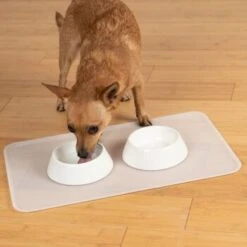 KaraLuna Basic Napfunterlage Transparent S 13 KaraLuna Basic Napfunterlage Transparent S -Hundebedarf Geschäft 6f92b46b9666870298738b4bee75a50ee534fac6 1407499 de DE 14497c23a79b7136237df13f9c32b5ed84fd5ff04vyZgl