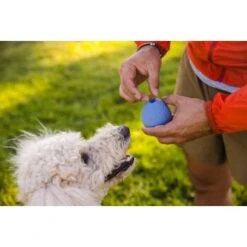 Ruffwear Turnup™ Spielzeug Violett -Hundebedarf Geschäft 708e59a1fbc9e9a4e5a251230d3a5a466a41cd46 1639873 de DE aed329193f910634e544626b706606bf1d9a42e0yMTSe3