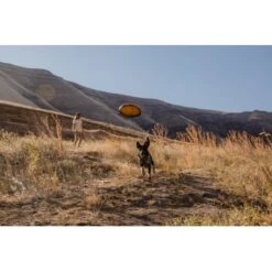 Ruffwear Hover Craft™ Spielzeug Orange 13 Ruffwear Hover Craft™ Spielzeug Orange -Hundebedarf Geschäft 7111f12b44323f3d6c15a85a889225520ab85f0d 1364297 de DE 664accd36f55b32e3ca302e20a868b09c8c0d85ePbTUSI