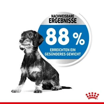ROYAL CANIN Light Weight Care Mini 8 Kg 7 ROYAL CANIN Light Weight Care Mini 8 Kg – Bild 7