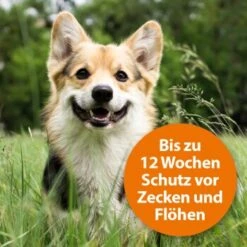 Ardap Spot-On Für Hunde M -Hundebedarf Geschäft 754cb0999b71200c7309e0ceebfa48c781455c5a 1150898 de DE 985bac0b3c4e553309f761cccdf8a28957d958admDXlh4