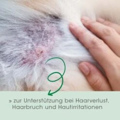 Fell & Haut Vital 150 G -Hundebedarf Geschäft 756199d8c9bc1fc4fc6f9777425d928b34547bc6 1049905 de DE 6976be24cc530271e920aadc6d37e007742fe9acIGQoY8