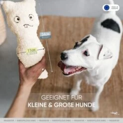 Freudentier Nachhaltiges Hundespielzeug Daniel -Hundebedarf Geschäft 76f8956cafde740a15233069d3a2be49cf2284e6 1408970 de DE 736dc37d356485eb4dbefdb8afa00d5469896273y5qjhW