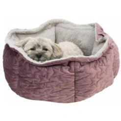 Trixie Bett Estelle Samt-Optik ø 50 Cm Beere/ Grau -Hundebedarf Geschäft 77bb4f5cd7384a9905de3a40eb3a823ce700b54b 1378629 de DE Trixie 6