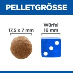 Hill's Science Plan Perfect Digestion Adult Large Breed Mit Huhn Und Reis 14 Kg -Hundebedarf Geschäft 7870930246637f1eaea8b6efb1e36c277094d9c5 52742044170 6