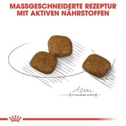 ROYAL CANIN Coat Care Mini 8 Kg -Hundebedarf Geschäft 78fd619b6a996551fbf9c2ffe756785ff4757c0f 8def8dcb08d25a9acf7b893d77b665d243e49a47