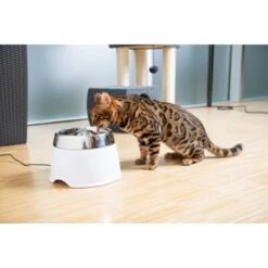 AniOne Edelstahl-Trinkbrunnen Trevi Ohne Ersatzfilter -Hundebedarf Geschäft 7a066af048695bbfaeca0a855e5984fc3bf99d03 689fcf415d486ac05c07f2a4868b1d087d7a9ece