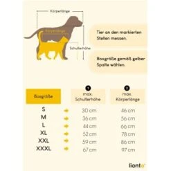 Lionto Hundetransportbox - Faltbar - Schwarz S -Hundebedarf Geschäft 7c4f03a2ce200325c189389a01e00ec1fee9f143 1494697 de DE 88ea4bc69d53df71b1e5056b534cc74c657affe7QMrFzm