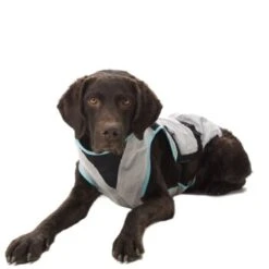 Trovet Suitical Kühlweste Dry Cool M 8 Trovet Suitical Kühlweste Dry Cool M -Hundebedarf Geschäft 7c6cb463b1c403c67dd5b0537c226320cd47afee 1321386 de DE Trovet suitical 5 Kopie