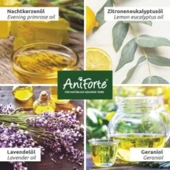 Aniforte Grasmilben-EX Spray Für Hunde 250ml -Hundebedarf Geschäft 7d4f1a55842ce2d51a9b9f32674d2db94f29ba1b 1655909 de DE 13bbe2651517a00574d86841d6226b7aad68eefbkP9T6U