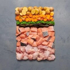 Irish Pure 12x Nassfutter Atlantik-Lachs -Hundebedarf Geschäft 7d85c23fa898a78b22cb0441775317658e047c55 1664445 de DE 0982b9414042a12e9025dddf9167eef6de3d5a55gtmHoK