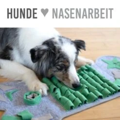 KaraLuna Schnüffelteppich Groß -Hundebedarf Geschäft 7d9934ac89606a2235f1759191a56b106b907450 1407465 de DE 128b2d1b9646ded9b973043909bed3493e8c9eedHomDKx