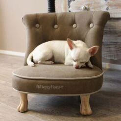 Happy House Sessel 5 Happy House Sessel -Hundebedarf Geschäft 7dc69026c1513e8c2585722f3b59ffa57e63bb84 6e63ee9a689b42502c7ce6d515252b9326e9aebf