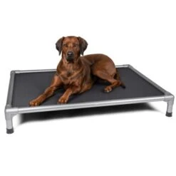 TrendPet HighBed Hochbett Für Hunde Grau M 8 TrendPet HighBed Hochbett Für Hunde Grau M -Hundebedarf Geschäft 806c9151a30c8768dca1db3b613750e05f9a4162 1398000 de DE eccf46af10cedb35cd08bd74c647de0fa5efa511wPNHSV