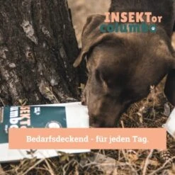 BeG Buddy Trockenfutter Insekten 10 Kg 10 BeG Buddy Trockenfutter Insekten 10 Kg -Hundebedarf Geschäft 809bc4ff3b44a47ca72efd37dd80bd2ebc8d6768 1457249 de DE 123bfe8a8f9618b3a58ac5efe483c5e0ad6f0bd2L86XLS