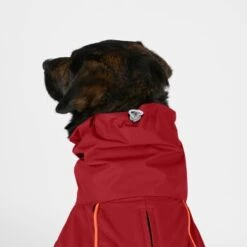 THE DOG IDEA Regenmantel Duke Rot XXXS -Hundebedarf Geschäft 822a4da10b9da515f34da242b7e9114be1460681 1487619 de DE 98c133ffef73a5ccbc6dc1d3118eb84074feebfeXrDfKi
