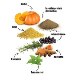 Eat Small EatSmall 24x 400g Nassfutter Wald -Hundebedarf Geschäft 82a13ef106eaba8d36f974cafc6f63b520c5e95b 1480174 de DE 14f419f82fdd97b5787fae56c3d39024e10a9a84MUrdkT