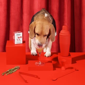 Fred & Felia FRED 10x200g Dog Drink "Wuffmopolian" 2 Fred & Felia FRED 10x200g Dog Drink "Wuffmopolian" – Bild 2