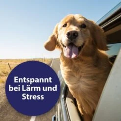 Canosept Home Comfort Beruhigungsspray Für Hunde 100 Ml -Hundebedarf Geschäft 83722164e39a9871cce2ee23a4ff550833c770e3 canosept home comfort content 03