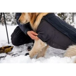 Ruffwear Cloud Chaser™ Hundejacke Schwarz XXS -Hundebedarf Geschäft 839577c6525280e266f62f99f67ccc111fd75c4b 1369623 de DE 87ed046f15d6c099e4f33a0b92b8494c495a6d97bF4WS9