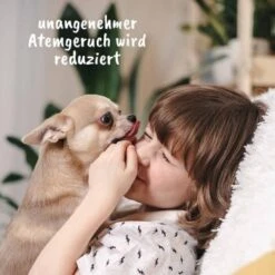 DentaVet Gel 35g -Hundebedarf Geschäft 83bc062088bf497c563d73617ec06ea55fab5303 1249039 de DE d1fc59c1732a26ecfdb5efbb70158acd6ac06117jOeQCb