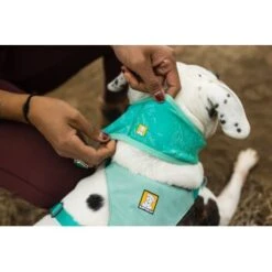 Ruffwear Swamp Cooler™ Kühlendes Halstuch Blau/ Türkis XXS 14 Ruffwear Swamp Cooler™ Kühlendes Halstuch Blau/ Türkis XXS -Hundebedarf Geschäft 84380b323534f706adb064c5f59bfe1f6f8adfcb 1639914 de DE 09b76313830836f68f333eee06c0a6bd83fbeec4Hirkw3