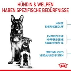 ROYAL CANIN MAXI Starter 15kg -Hundebedarf Geschäft 84509061cc88bbba93af28332fe80ae82ca37ef9 1044296 de DE royalcaninwb2