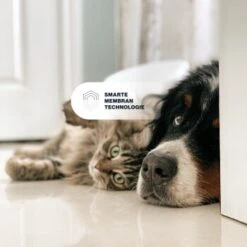 KYVETIN Spray Skin Repair Für Hunde Und Katzen 14 KYVETIN Spray Skin Repair Für Hunde Und Katzen -Hundebedarf Geschäft 851cbfa418e315e47d7ba499ec62be71e3229497 1364195 de DE KyvetinSpray 7