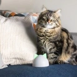 SureFlap Sure Petcare Hub 13 SureFlap Sure Petcare Hub -Hundebedarf Geschäft 852b1bc3a8108075f76c20971c6ccd4d4ae1aeee 64f4b5749fc73b0bad1049a6b67d5e53fa50ba07