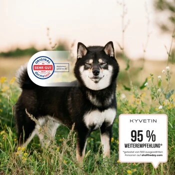 KYVETIN Spray Skin Repair Für Hunde Und Katzen 5 KYVETIN Spray Skin Repair Für Hunde Und Katzen – Bild 5