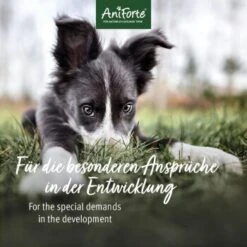 Aniforte Junior Active 250 G 9 Aniforte Junior Active 250 G -Hundebedarf Geschäft 85f14959766b1456ddfebecc96c0620d66b937f8 1422210 de DE 2b250799eeaa3b0c7abfb8ddb6b25faa05fec06cbuKE8w