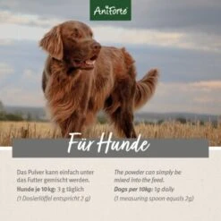 Aniforte 4in1 Complete Dog -Hundebedarf Geschäft 863df9312c354770c420c56efc95e2ead39bb452 1332843 de DE b031ceb424c8a1b82398a216b110edd0f14ffb59lVmP30